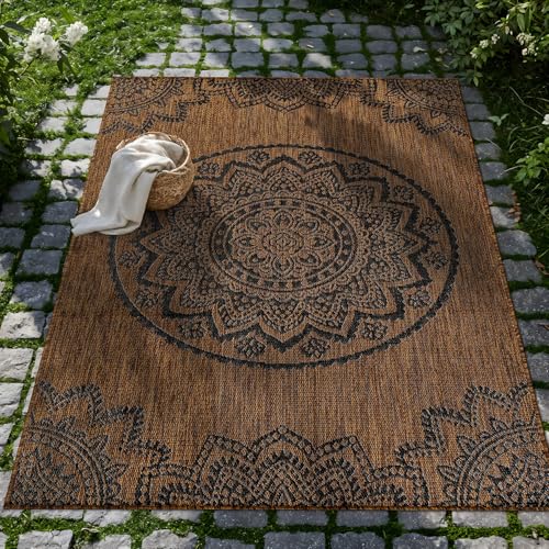 Outdoor Rug 8x10 Modern Area Rugs for Indoor and Outdoor Patios and Porches