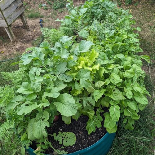 2 Pack 8x4x1FT Galvanized Raised Garden Bed Kit Oval Metal Ground Planter Box Outdoor Bottomless Planter Raised Beds for Vegetables Flowers Herbs Fruits