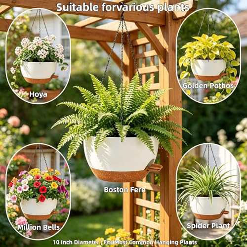 2 Pack 10 Inch Self Watering Hanging Planters for Indoor Plants (2 Count)
