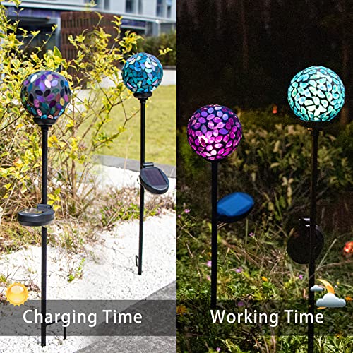 Decorative Solar Garden Lights (2 Count)