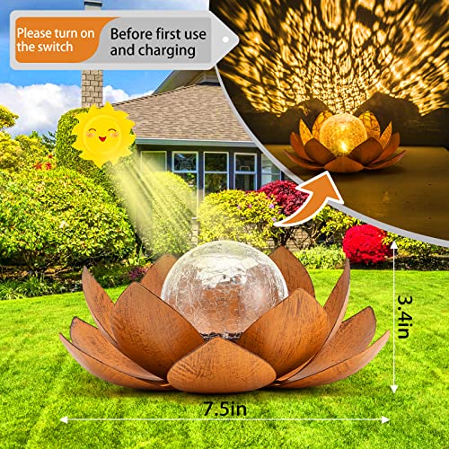 Solar Light Outdoor (2 Count)