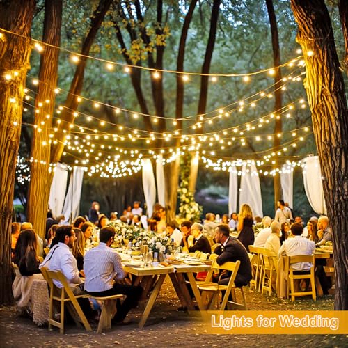 1000 LED Christmas String Lights with Remote (174 Foot)
