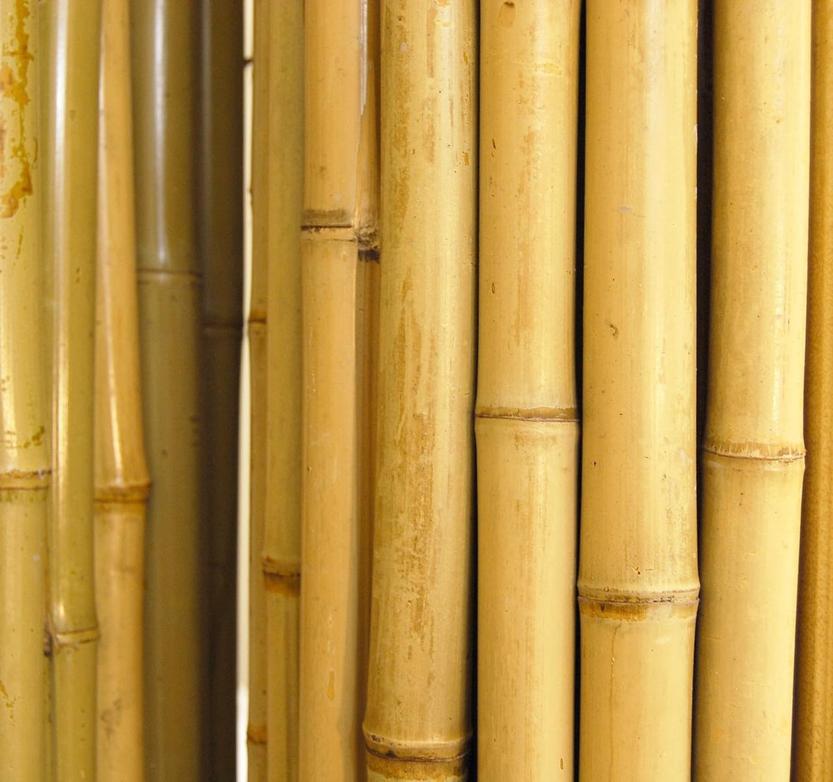 Natural Bamboo Fencing Decorative Rolled Fence Panel 1 in D x 2 ft H x 8 ft L