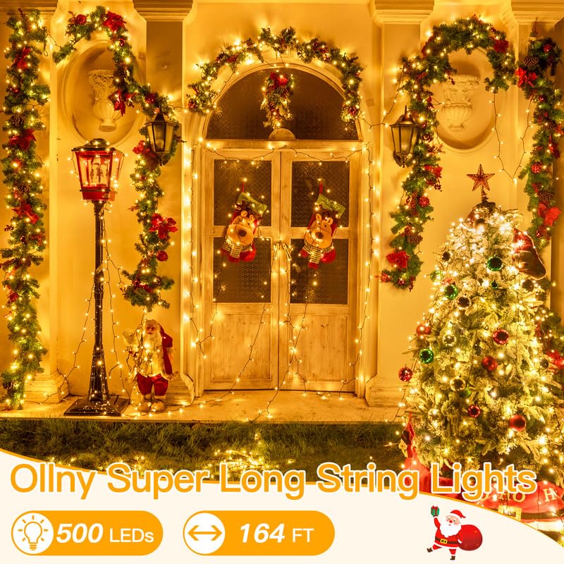 Christmas Lights (164 Foot)
