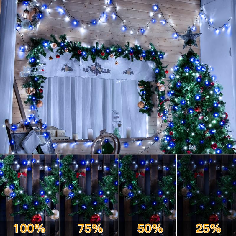 Christmas Lights (164 Foot)