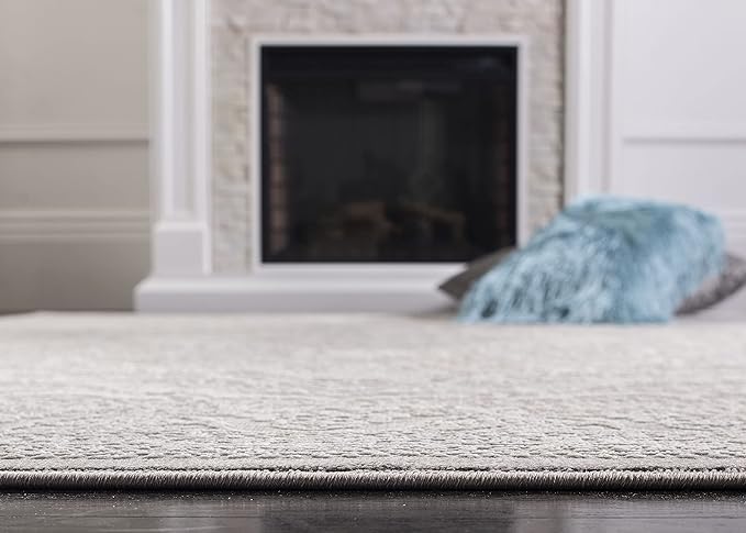 SAFAVIEH Area Rug 4x6 - Reflection Collection - Light Grey & Cream, Non-Shedding & Easy Cleaning, Ideal for Foyer, Living Room, Bedroom (RFT668G)