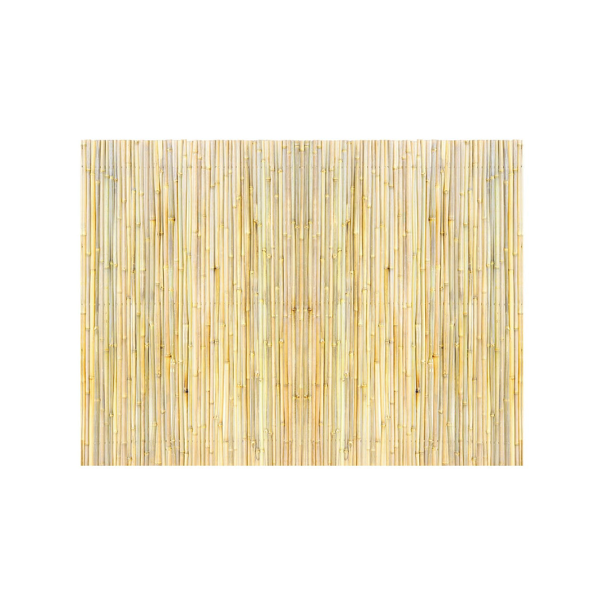 Natural Rolled Bamboo Fence (24 Sq Ft)