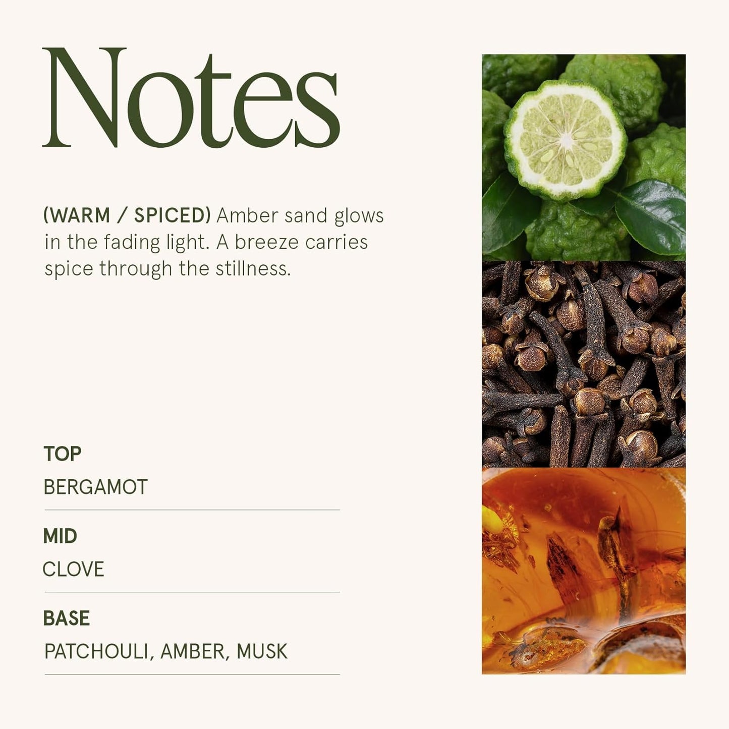 LA JOLIE MUSE Fall Candle | Sahara Amber Candle – Bergamot, Clove & Amber | 19 oz Wooden Wick | Natural Soy Wax | 90 Hours Clean Burn | Gift-Ready for Cozy Nights | Elevated Fall Décor - NestledHome