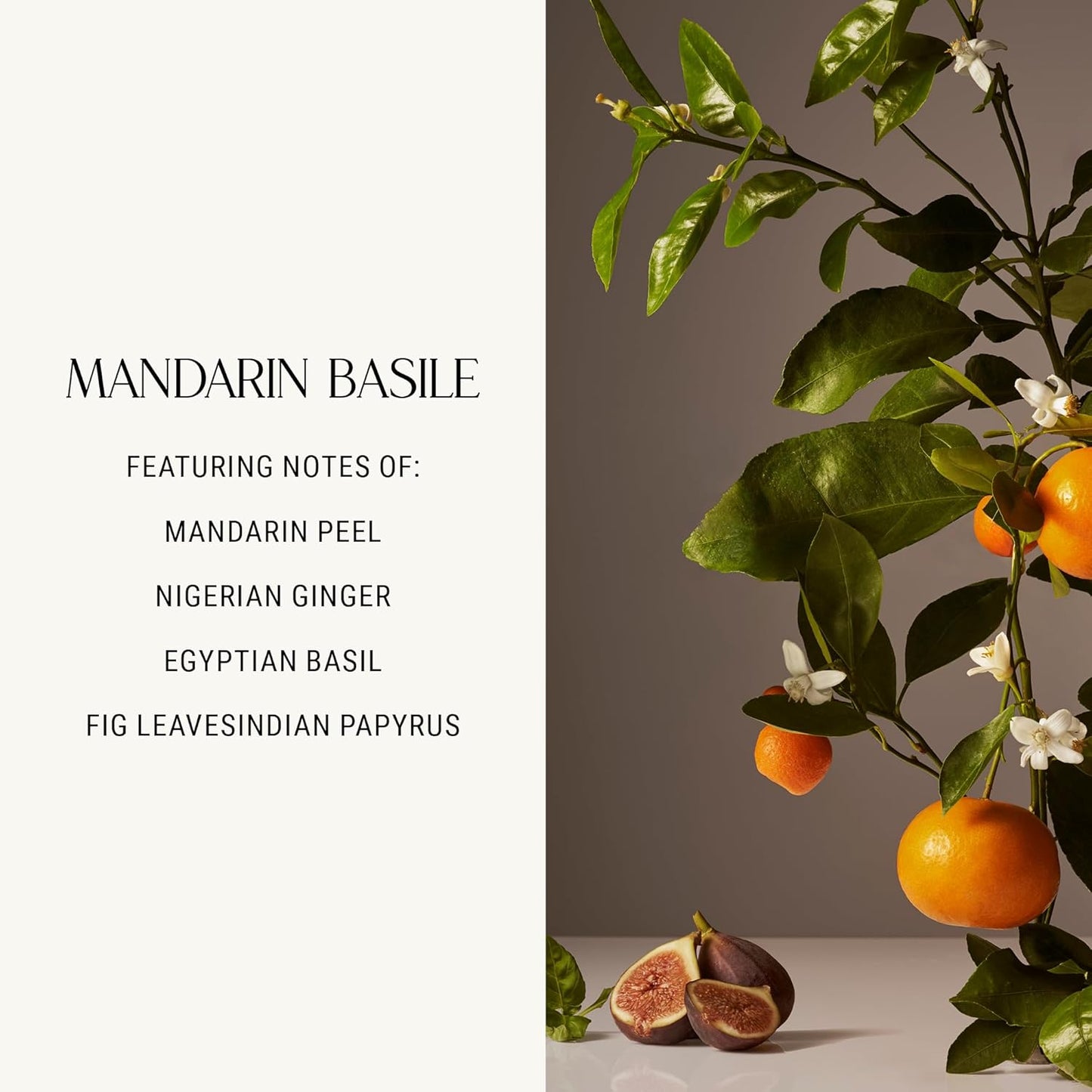 Homecourt Luxury Scented Candle, Mandarin Basile Scent, 60-Hour Burn Time, Soy Wax Blend, Organic Cotton Wick, Kiln-Fired Reusable Ceramic Vessel, 8 Oz - NestledHome