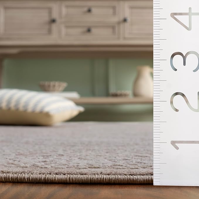 SAFAVIEH Area Rug 6x8 - Reflection Collection - Beige & Cream, Non-Shedding & Easy Cleaning, Ideal for Entryway, Living Room, Bedroom (RFT668A)