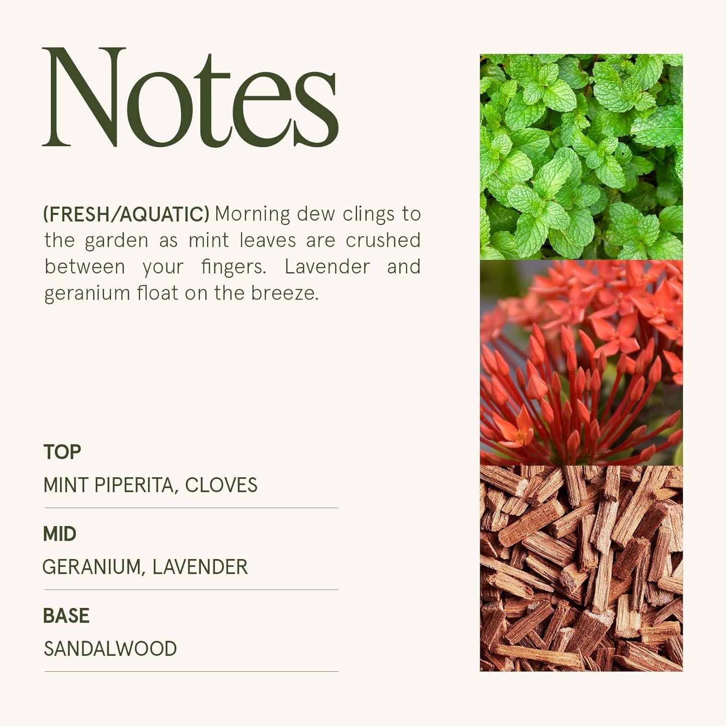 LA JOLIE MUSE Geranium Vert Mint Candle - Mint, Geranium, Lavender | 6 oz Natural Soy Wax | 40 Hours Clean Burn | Fresh Scented Candle | Gift-Ready for Hosts & Gatherings - NestledHome