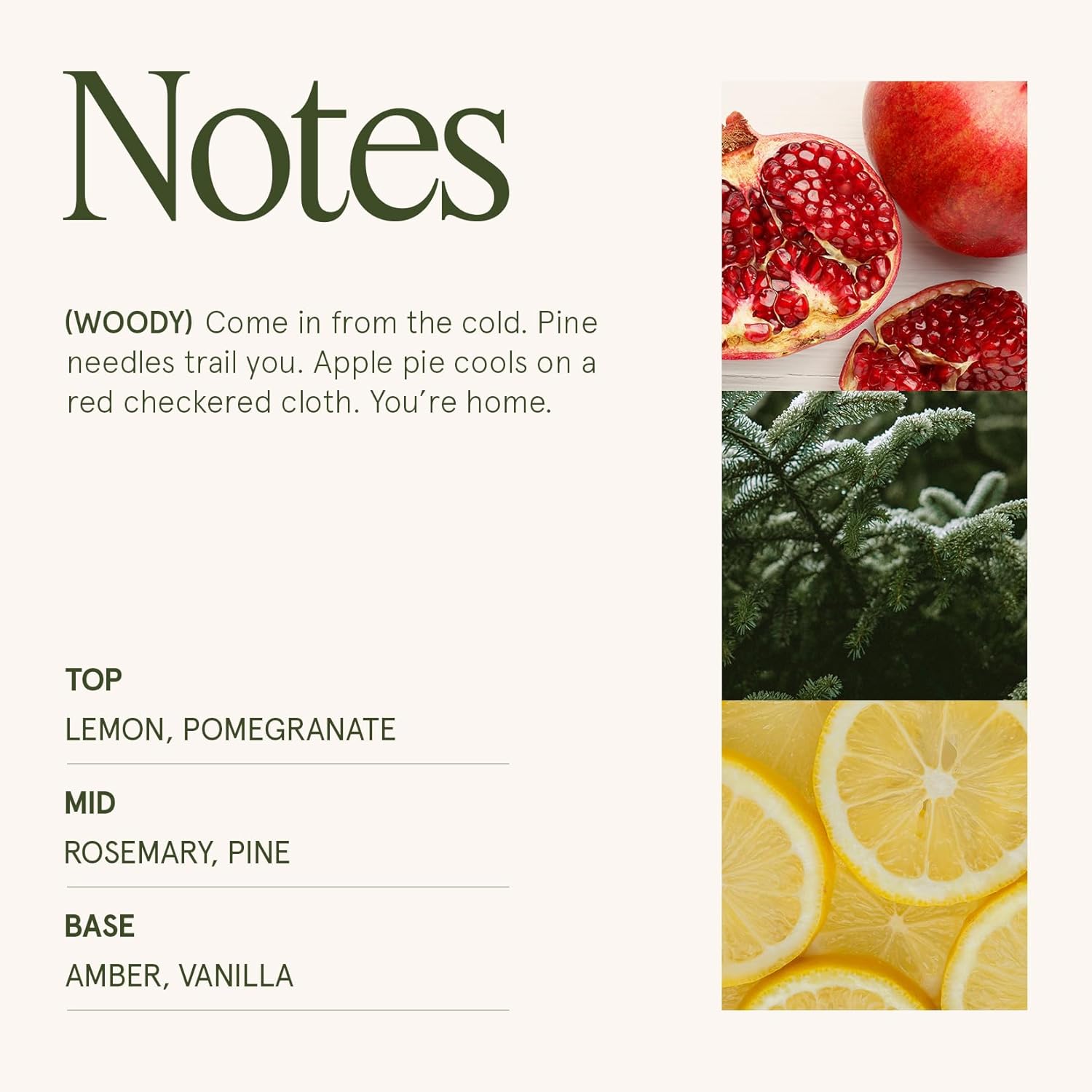 LA JOLIE MUSE Christmas Candles, Pine & Pomegranate Candle -Lemon, Pomegranate & Pine | 6 oz Natural Soy Wax | 40 Hours Clean Burn | Gift-Ready for Hosts, Gatherings | Elegant Home Décor - NestledHome