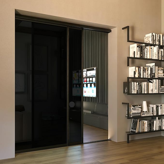 Glass Room Divider and Sliding Glass Closet Doors - Smoked Frosted Partition Wall - Clear, Smoked and Frosted Glass Sliding Doors Options (Smoked Glass, 80x80)