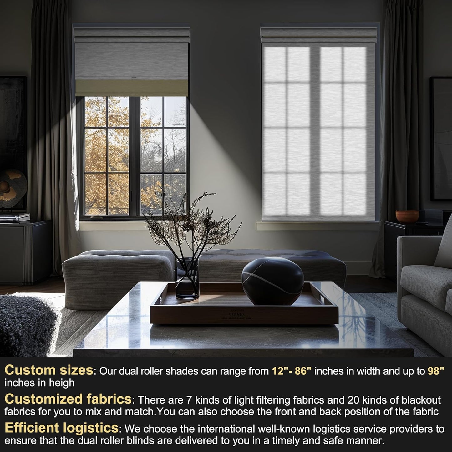 BERISSA Cordless Dual Roller Shades with Cassette Valance, Double Window Shades - Blackout and Light Filtering, Day and Night for Home Office and Door. Beige and White. 62 W x 72" H