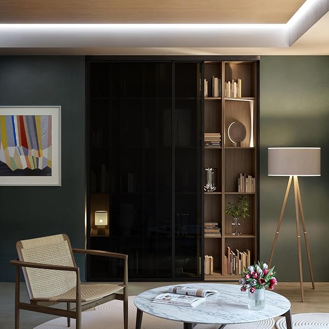 Glass Room Divider and Sliding Glass Closet Doors - Smoked Frosted Partition Wall - Clear, Smoked and Frosted Glass Sliding Doors Options (Smoked Glass, 80x80)