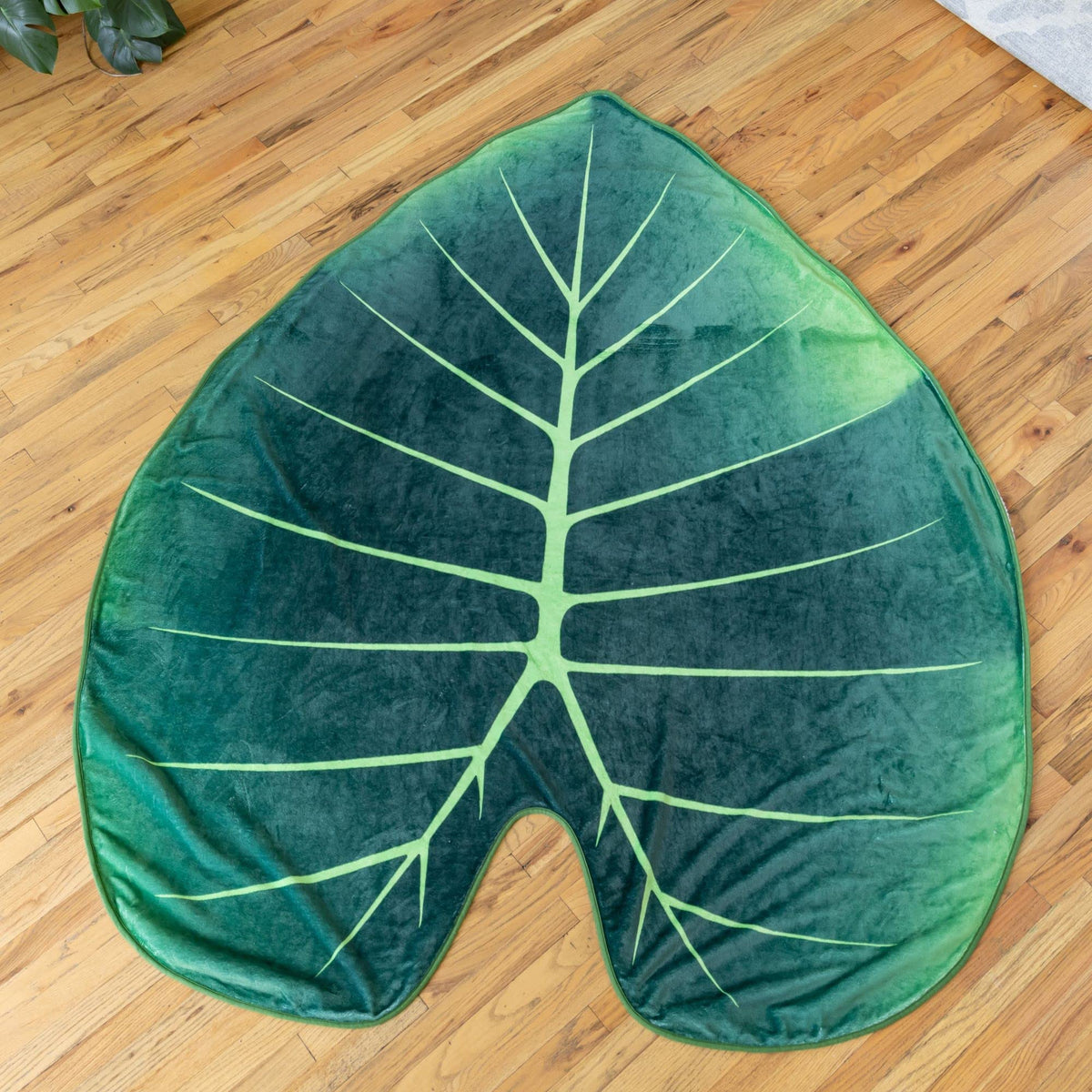 Regal Shield Leaf Blanket