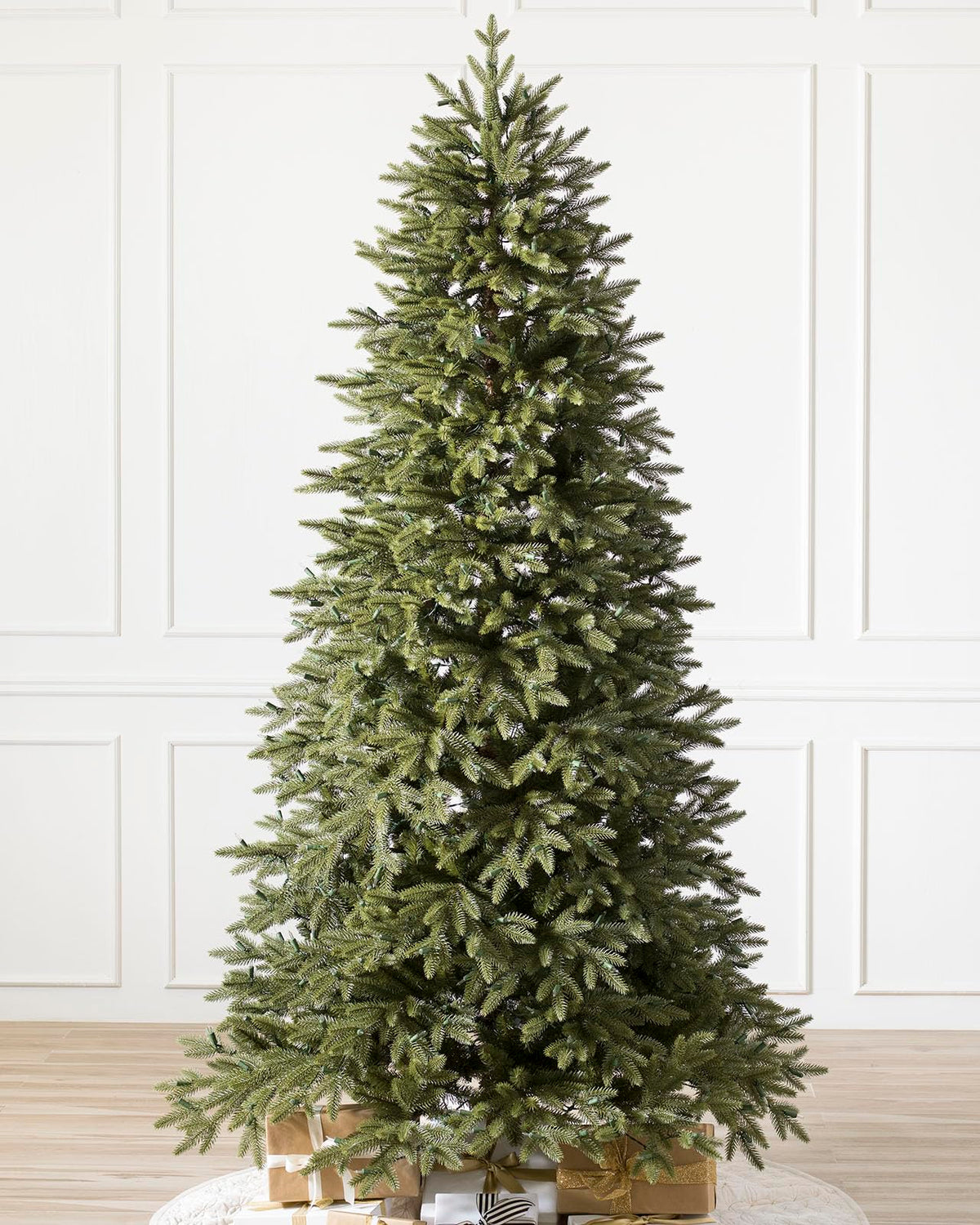 Stratford Spruce