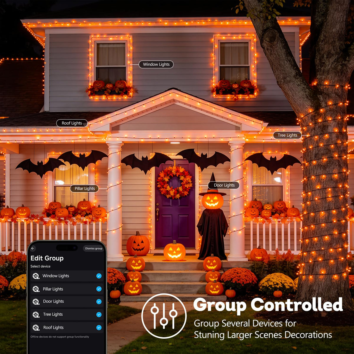 Color Changing String Lights for Halloween (66 Foot)