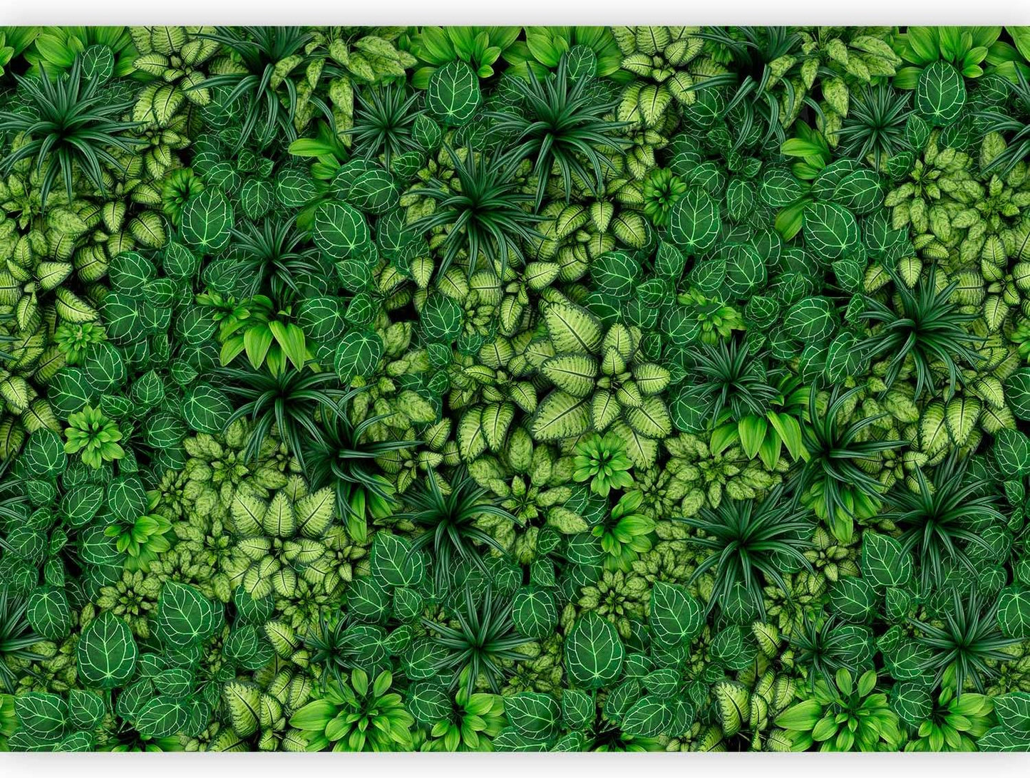 artgeist Wall Mural Plants 157x110 in - XXL Non-Woven Wallpaper Fleece Wall Decor Photo Print Picture Image Design Nature Botanics Tropical Leaves b-B-0601-a-a