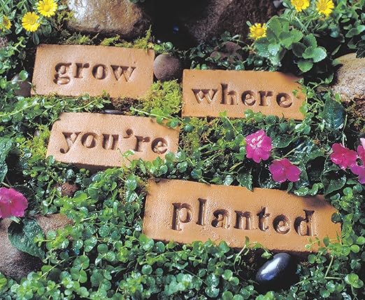 Magnetic Poetry Press in Letters and Numbers Stone Concrete Stamps - Lowercase Traditional Typeface