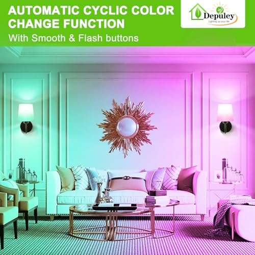 Battery Operated Wall Sconce