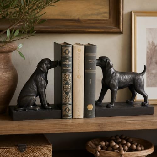 Decorative Bookends for Shelves