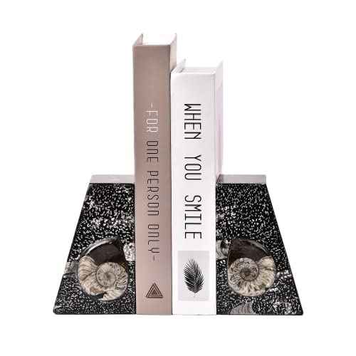 Natural Orthoceras Fossil Bookends