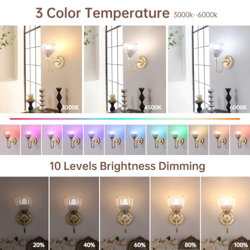 S Vintage Glass Wall Sconces