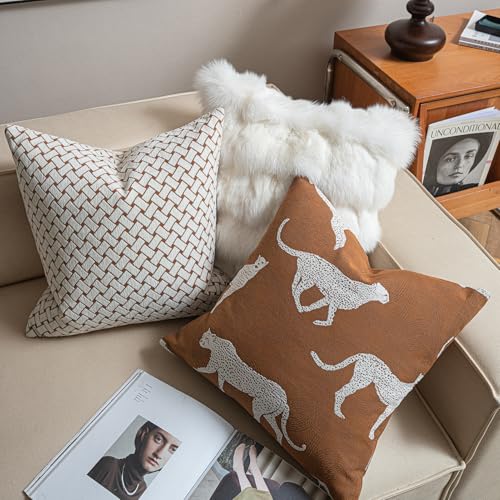 Throw Pillow Cushion Cover