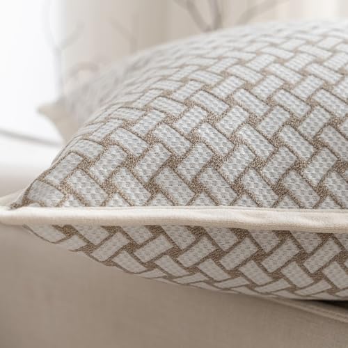 Throw Pillow Cushion Cover
