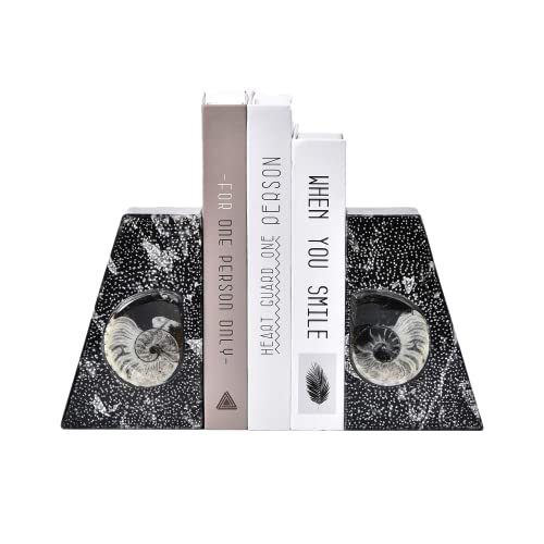 Natural Orthoceras Fossil Bookends