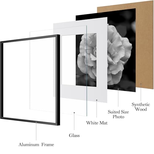 Aluminum Gallery Wall Frame Set with Glass Cover