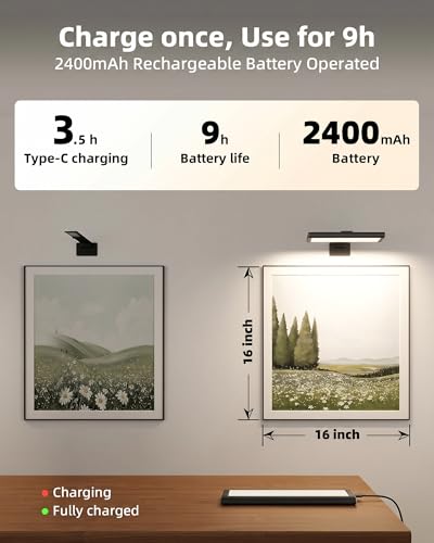 Picture Light for Wall