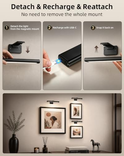 Picture Light for Wall
