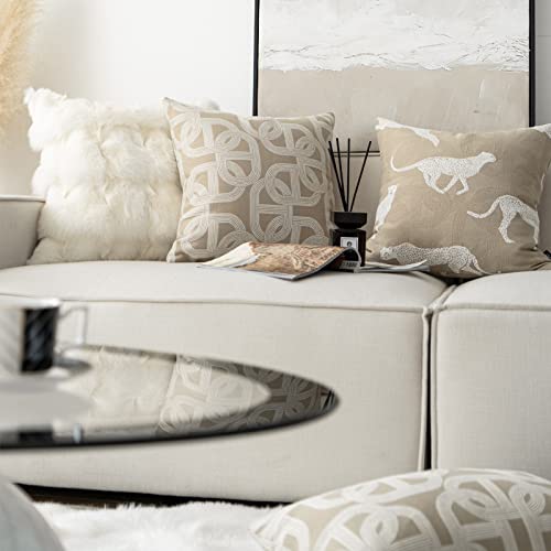 Throw Pillow Cushion Cover