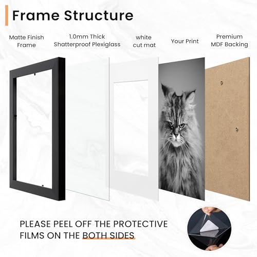 12 Pack Picture Frames Collage Wall Decor