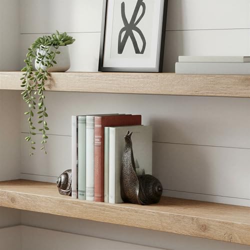 Decorative Distressed Cast Iron Snail