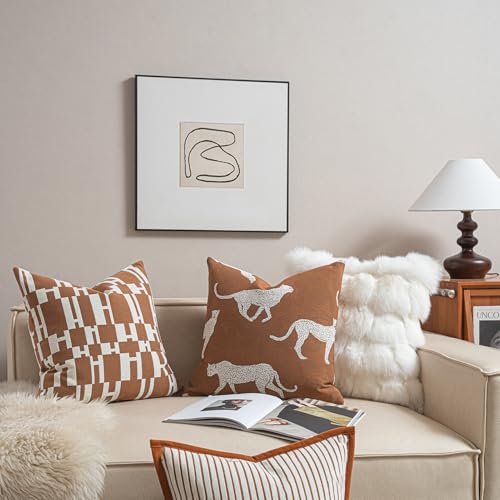Throw Pillow Cushion Cover