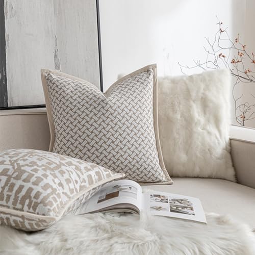 Throw Pillow Cushion Cover