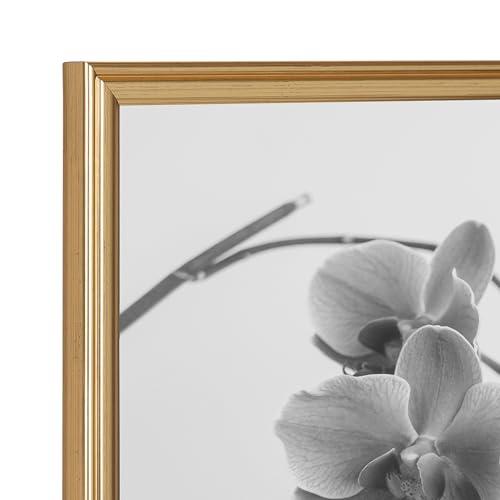 Adlynn Rectangle Picture Frame Set