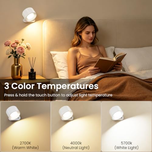 LED Wall Sconces