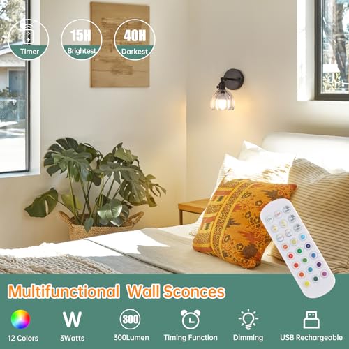 Wall Sconce