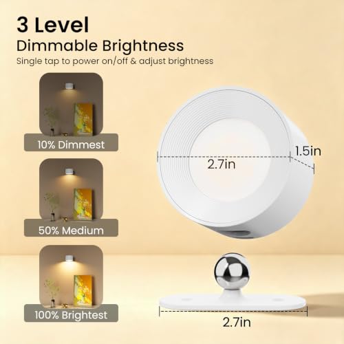 LED Wall Sconces