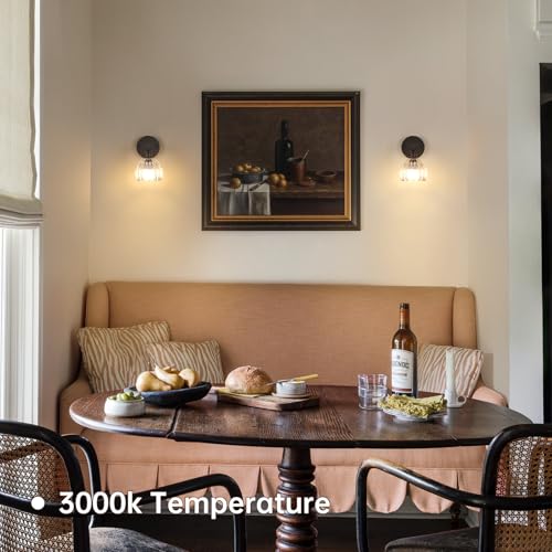 Wall Sconce