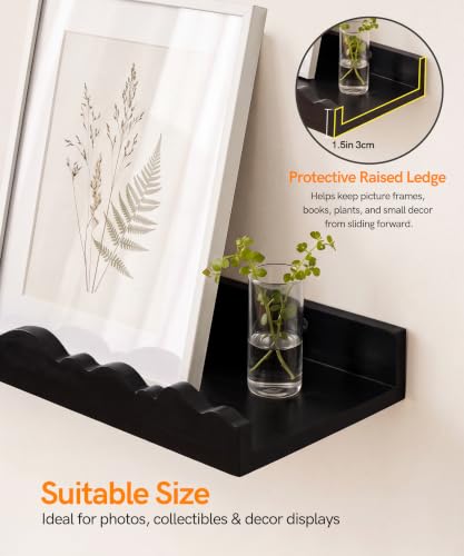 Picture Ledge Shelves for Wall