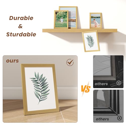 Collage Picture Frames Set of 12