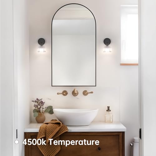 Wall Sconce
