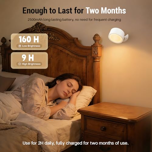 LED Wall Sconces