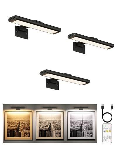 Picture Light for Wall