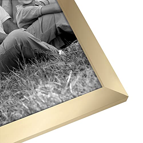 Picture Frames with Shatter